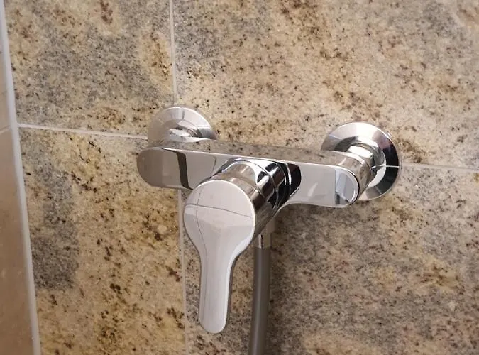 费迪南德柏林酒店式公寓 2* 柏林